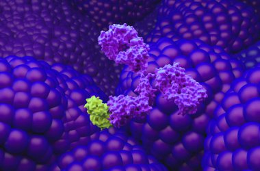 Prostat kanserinde monoklonal antikor tedavisi - yakın çekim görüntüsü 3d illüstrasyon