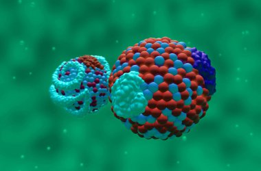 Düşük yoğunluklu lipoprotein (LDL) ve yüksek yoğunluklu lipoprotein (HDL) kolesterol - Yakın görünüm 3d illüstrasyon
