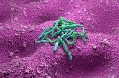 Helicobacter pylori bacteria - isometric view 3d illustration clipart