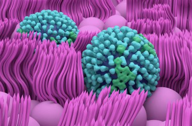 Geniz mukoza çizgilerinde grip virüsü - yakın çekim görüntü 3D illüstrasyon