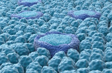 Tat alma tomurcukları - yakın görünüm 3d illüstrasyon