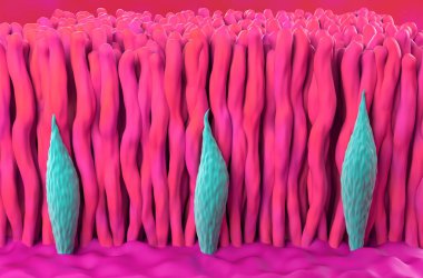 Retina fotoreseptörü (koni ve çubuk hücreleri) izometrik görünüm 3d illüstrasyon