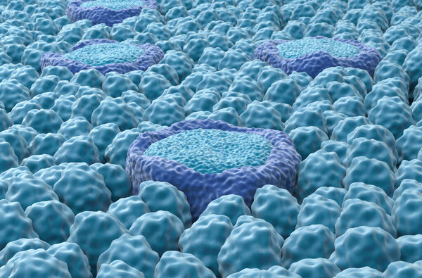 Taste buds - closeup view 3d illustration