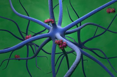 Botulinum toksin kaçış ve merkezi sinir sistemine seyahat - üç boyutlu izometrik görüntü