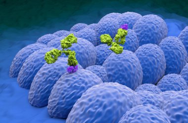 Endometriyal kanserde monoklonal antikor tedavisi - yakın çekim 3d illüstrasyon