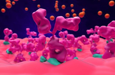 Miyastenia gravis 'te nörokas kavşağı - yakın görünüm 3d illüstrasyon