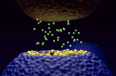 Sinaptik nöron reseptörleri (dendrite) presinaptik nöron (akson) - yakın görünüm 3d illüstrasyonundan yayılan nörotransmitterleri alır