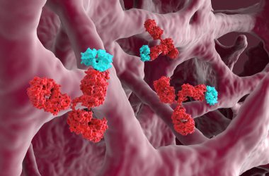 Osteoporoz 'da monoklonal antikor tedavisi - yakın çekim 3d illüstrasyon