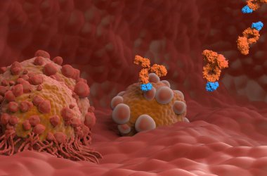 Monoclonal antibody treatment in Pancreatic cancer - closeup view 3d illustration clipart