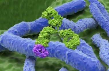 Helicobacter pylori 'de monoklonal antikor tedavisi - yakın çekim görüntü 3D illüstrasyon