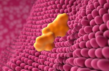 Midede pantoprazole - yakın çekim 3d illüstrasyon