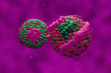 Yüksek yoğunluklu lipoprotein (HDL) kolesterol ve düşük yoğunluklu lipoprotein (LDL) - Yakın görünüm 3d illüstrasyon