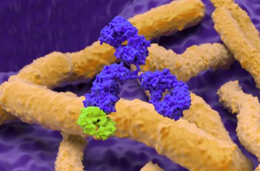 Helicobacter pylori 'de monoklonal antikor tedavisi - yakın çekim görüntü 3D illüstrasyon