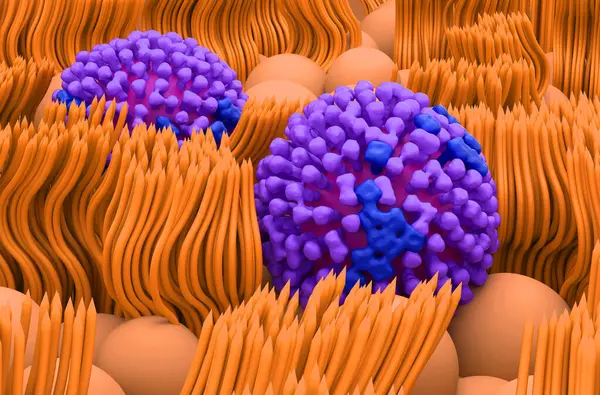 Geniz mukoza çizgilerinde grip virüsü - yakın çekim görüntü 3D illüstrasyon