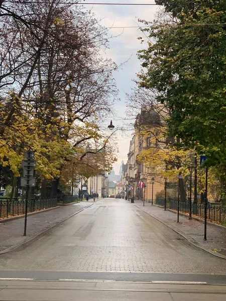 Sonbahar Krakow sokak manzarası Ağaçlar ve yapraklarla