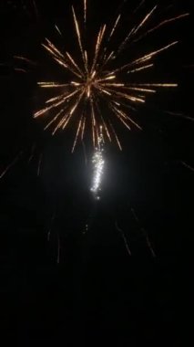 New Year's fireworks in the dark night sky at midnight in Stockholm