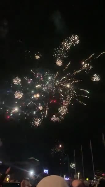 New Year Fireworks Dark Night Sky Midnight Stockholm — Vídeo de Stock