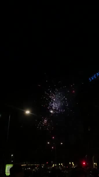 New Year Fireworks Dark Night Sky Midnight Stockholm — Stock video