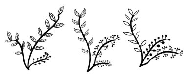 Basit vektör kümesi 3 el çizimi çiçek ve yaprak kenarı