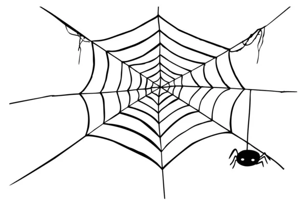 简单的矢量手绘草图 蜘蛛和蜘蛛网隔离在白色上 — 图库矢量图片