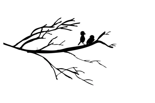 Ruční Kresba Skica Silueta Ptáci Větvi — Stockový vektor