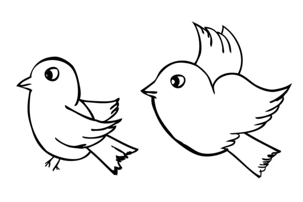 Vector Simple Set Bird Hand Draw Sketch — Stock Vector