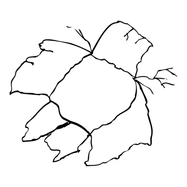 Simple Vector Hand Draw Sketch Torn Paper — Stock Vector