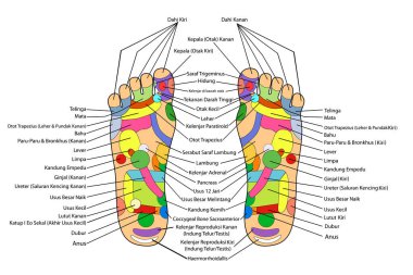 Basit vektör akupunktur, geleneksel alternatif iyileşme, sol ve sağ ayak ve Endonezya açıklaması