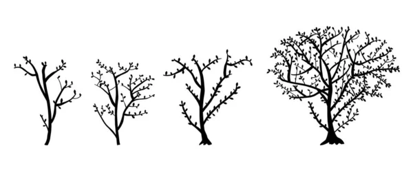 Silhueta Vetorial Simples Árvore Ramo Folha Mão Desenhar Esboço Conjunto —  Vetores de Stock
