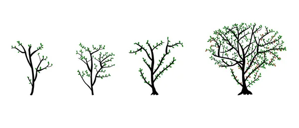 Проста Векторна Гілка Дерева Лист Ескіз Малюнка Руки — стоковий вектор