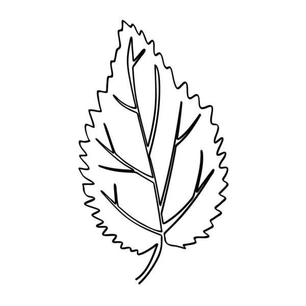 Jelatang Laportea Poine Leaf Simple Sketch Vector Single Contintain Line — 스톡 벡터