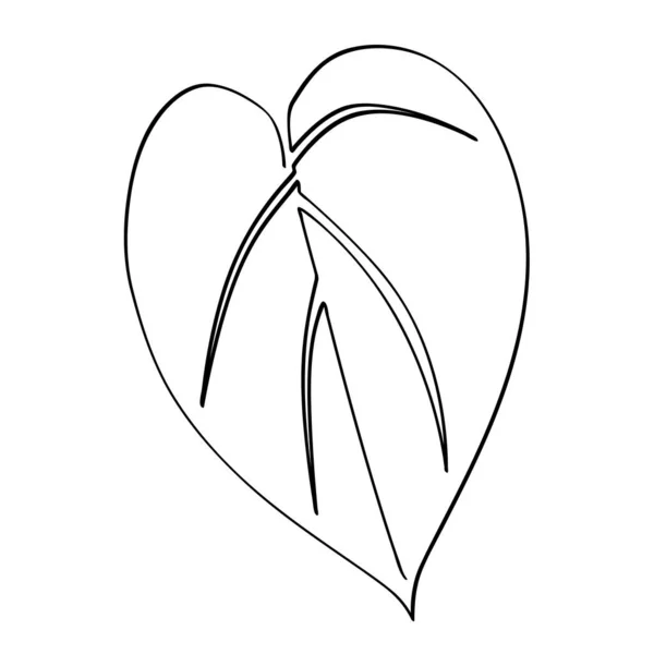 简单素描矢量单行或连续线条艺术中的天鹅绒花冠叶面 — 图库矢量图片