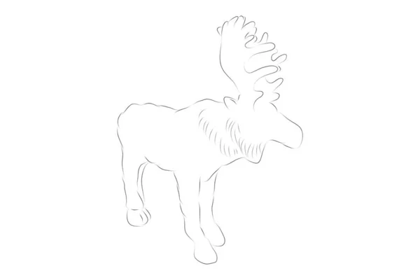 Simple Vector Hand Draw Sketch Moose Big Deer Isolated White — Stock Vector