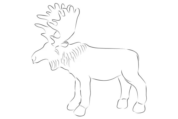 Semplice Vettore Disegnare Mano Schizzo Alce Cervo Grande Isolato Bianco — Vettoriale Stock