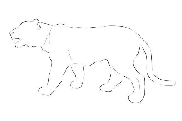 Απλό Διάνυσμα Χέρι Σχέδιο Σκίτσο Τίγρης Μεγάλο Ελάφι Απομονώνονται Λευκό — Διανυσματικό Αρχείο