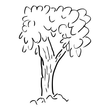ağaç, vektör karalama çizimi