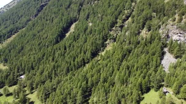 Luftaufnahme Von Wald Und Bergen Val Grande Alta Valcamonica Lombardei — Stockvideo
