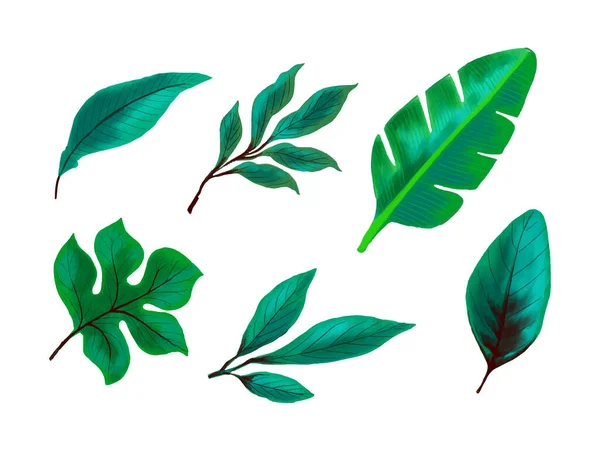 Realistic Tropical Plants Green Leaf Set Design Vector — Stock Vector
