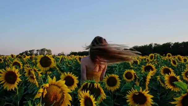 Pole Słoneczników Zachodzie Słońca Kobieta Długimi Włosami Dziewczyna Kręci Się — Wideo stockowe