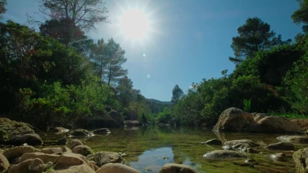 美丽的自然景观 有一个小湖和阳光 绿色的池塘和石头阳光灿烂的好天气 蓝天横向视频 — 图库视频影像