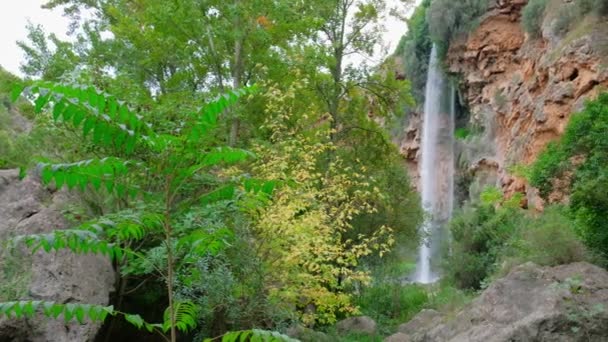 Krásný Velký Vodopád Reálném Čase Kameny Kameny Zelené Stromy Keře — Stock video