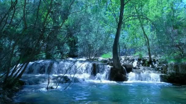 Bela Cachoeira Fadas Floresta Selvagem Cachoeiras Água Doce Rio Fluindo — Vídeo de Stock