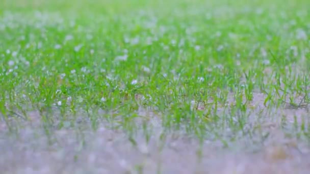 慢镜头 绿草上有冰雹 冰冻的水滴一滴水的关门 掉在冰雹上水平慢动作视频 — 图库视频影像