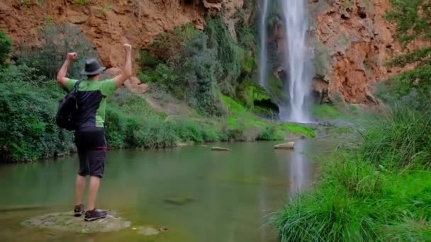 Homme Est Debout Danse Randonnée Dans Nature Paysage Forestier Vert — Video