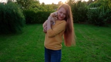 Gün batımında elinde küçük şirin bir Chihuahua köpeği tutan bir kadın. Kahverengi saçlı, uzun saçlı, minyatür bir köpek. Sevimli küçük arkadaş. Arkadaş canlısı köpek. Komik safkan köpek dişi. Yavaş çekim. 
