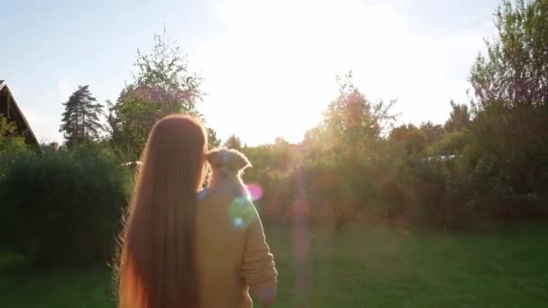 Žena Drží Malé Roztomilé Čivavské Štěně Při Západu Slunce Točí — Stock video