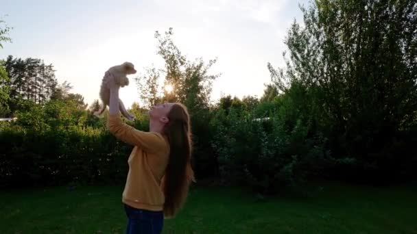 Γυναίκα Κρατώντας Ένα Μικρό Χαριτωμένο Κουτάβι Chihuahua Στο Ηλιοβασίλεμα Και — Αρχείο Βίντεο