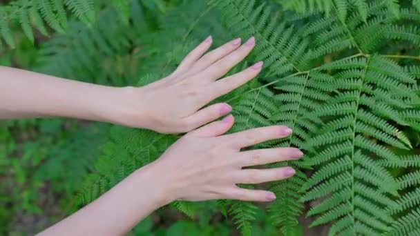 Mão Uma Mulher Toca Suavemente Planta Feto Folhas Verdes Uma — Vídeo de Stock