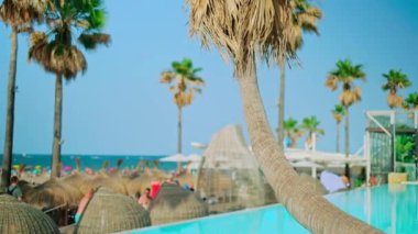 Tropik palmiye yaprakları rüzgarda hareket ediyor. Mavi gökyüzünde yeşil bir yaprak. Yavaş çekim videosu. 