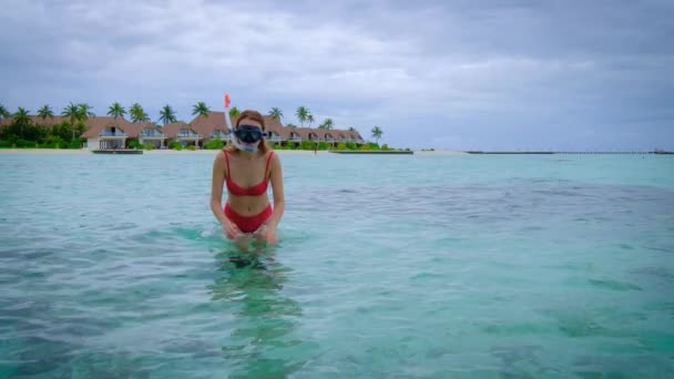 Mujer Bikini Rojo Está Buceando Feliz Maldivas Océano Azul Turquesa — Vídeos de Stock